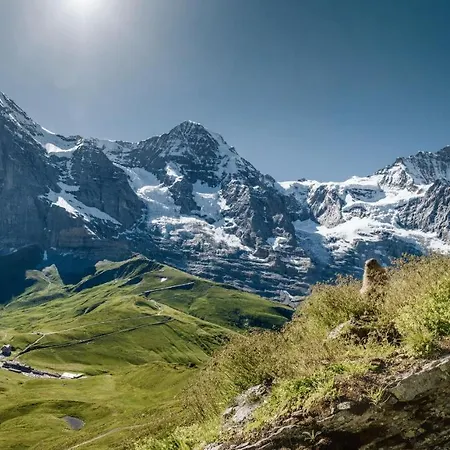 Ξενοδοχείο με διαμερίσματα & Silberhorn Βένγκεν