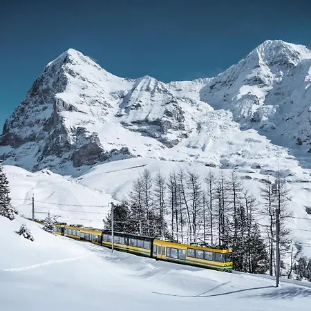 Silberhorn - Residences & Aparthotel 4*