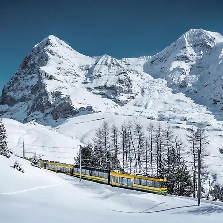 & Silberhorn Ξενοδοχείο με διαμερίσματα 4*