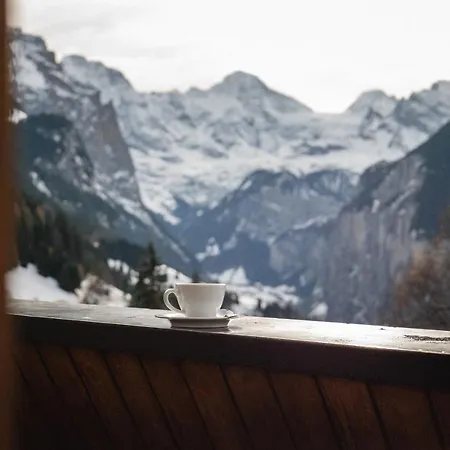 Silberhorn - Residences & Wengen