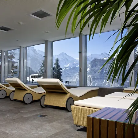 Silberhorn - Residences & شقة فندقية 4*