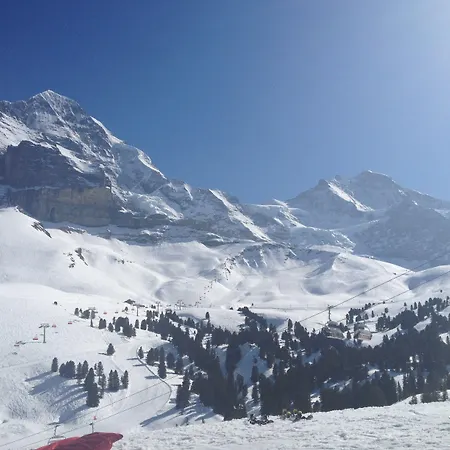 Silberhorn - Residences & شقة فندقية
