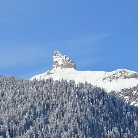 شقة فندقية Silberhorn - Residences & ون قن
