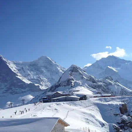 شقة فندقية Silberhorn - Residences & ون قن
