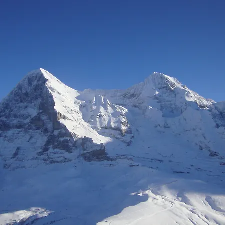 شقة فندقية Silberhorn - Residences &