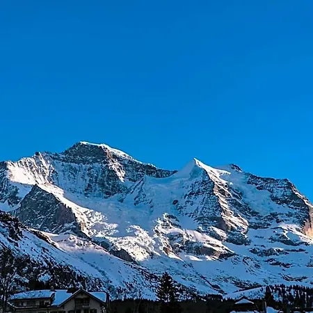 Aparthotel Silberhorn - Residences &
