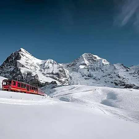 Silberhorn - Residences & 4* Wengen