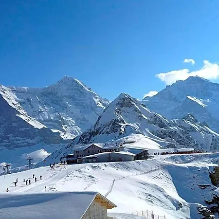 Silberhorn - Residences & 4* Wengen