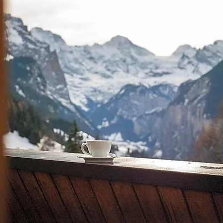 Silberhorn - Residences & Aparthotel Wengen