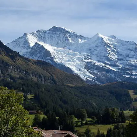 Silberhorn - Residences & Apart-hotel