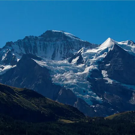& Silberhorn Ξενοδοχείο με διαμερίσματα 4*