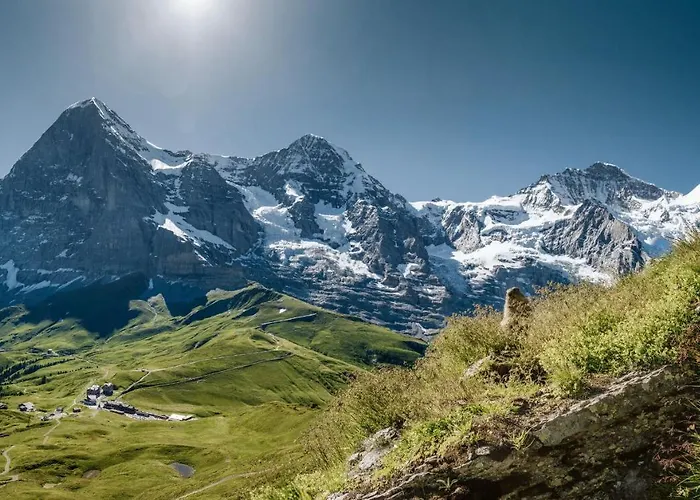 アパートホテル Silberhorn - Residences & ヴェンゲン