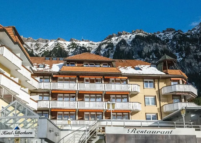 Silberhorn - Residences & アパートホテル 4*