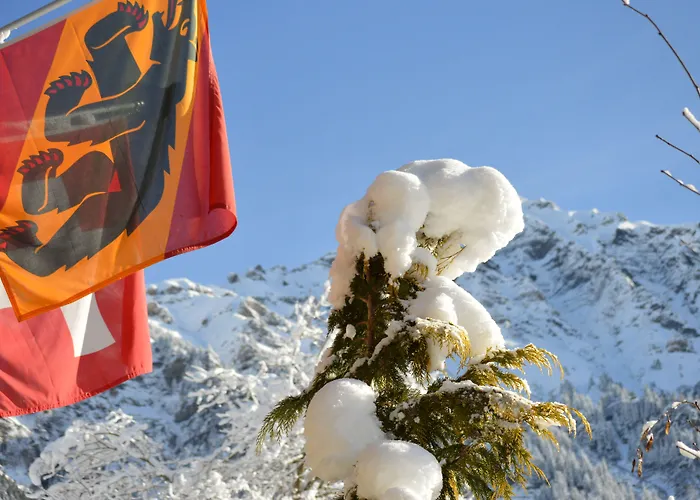 Silberhorn - Residences & Apart Otel Wengen