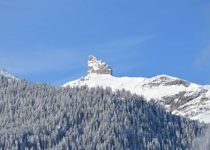Apart Otel Silberhorn - Residences & Wengen