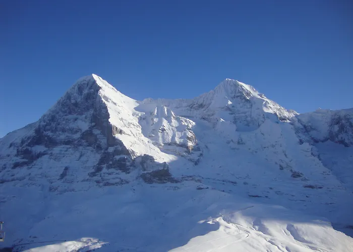 Apart Otel Silberhorn - Residences &