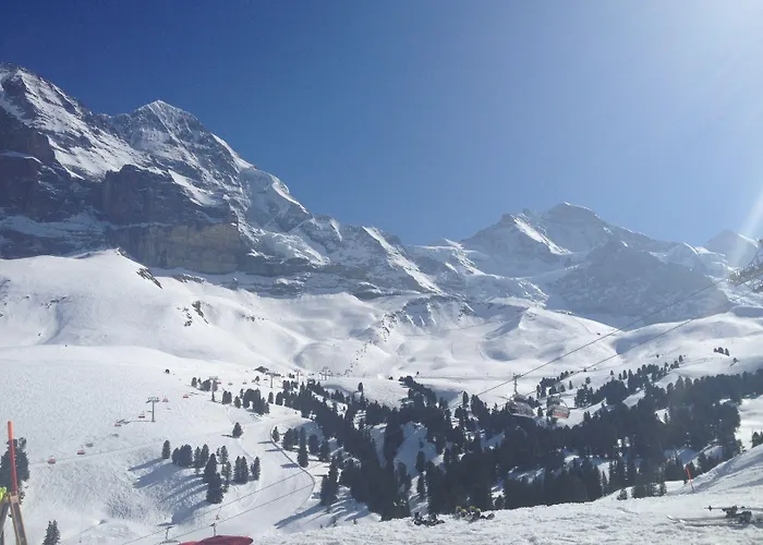 Silberhorn - Residences & Aparthotel