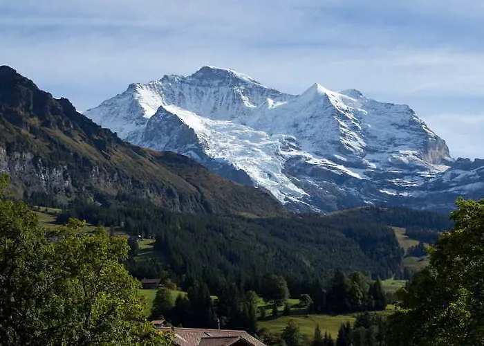 Silberhorn - Residences & Aparthotel