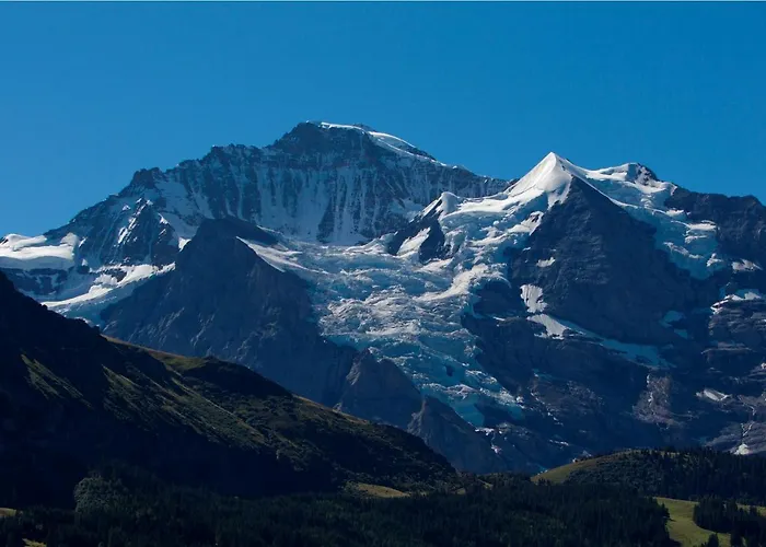 Silberhorn - Residences & Aparthotel 4*