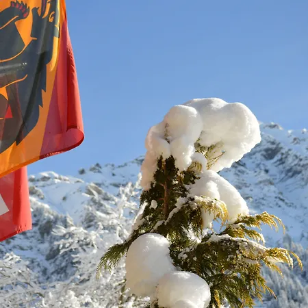 Silberhorn - Residences & Aparthotel Wengen