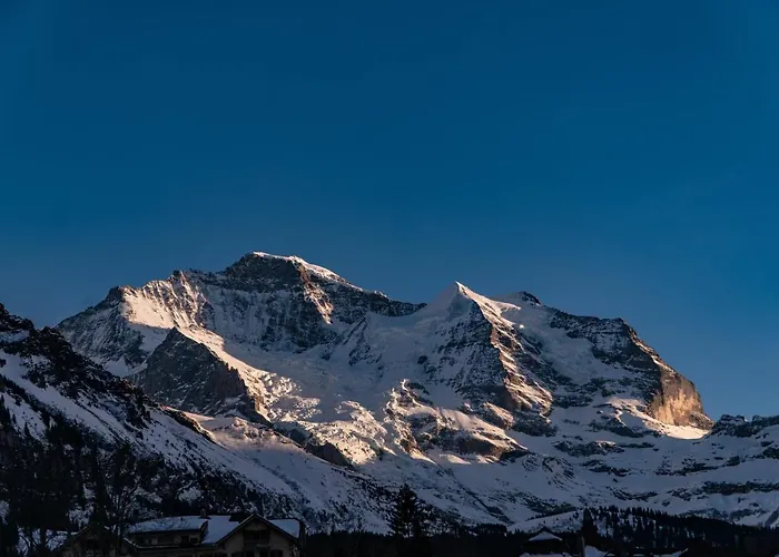 Silberhorn - Residences & Wengen